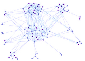 [PROTEIN NETWORK]