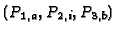 $(P_{1,a},P_{2,i},P_{3,b})$