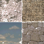\includegraphics[width=3.2cm]{images/mosaic7border.eps}