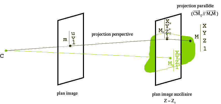 [Para-perspective model]