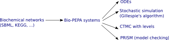 The Bio-PEPA Schema