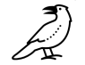 clever_birds_2025