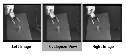 calculated cyclopean perspective