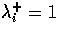 $\lambda_i^+ = 1$