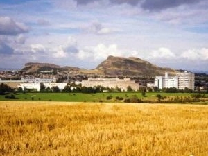 JCMB, fields
